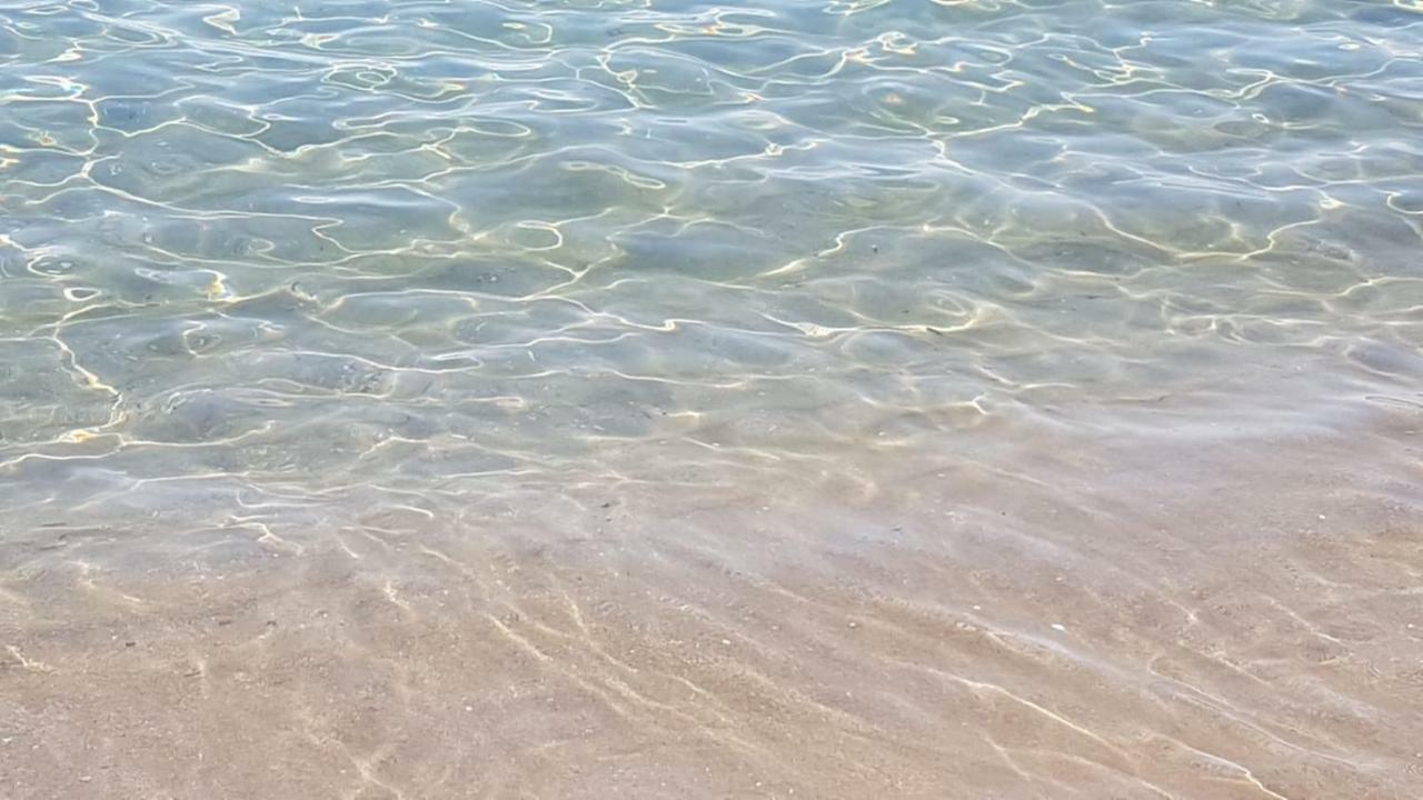 Camping Nuovo Μάσσα Εξωτερικό φωτογραφία